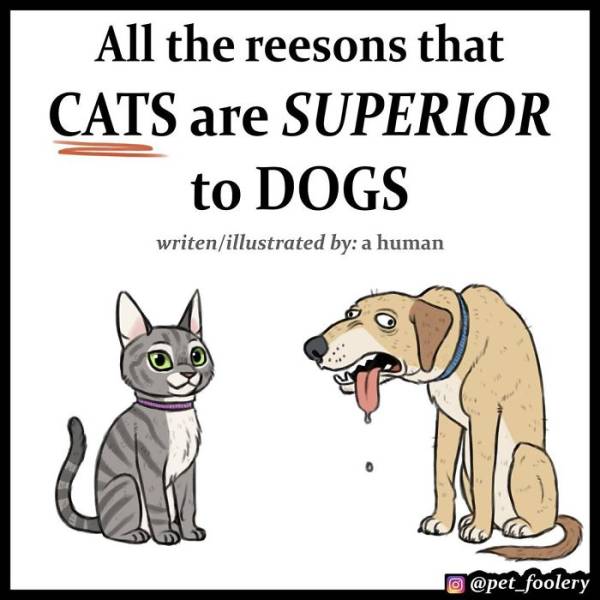 So, It Is Decided Then. Cats Are Better Than Dogs.