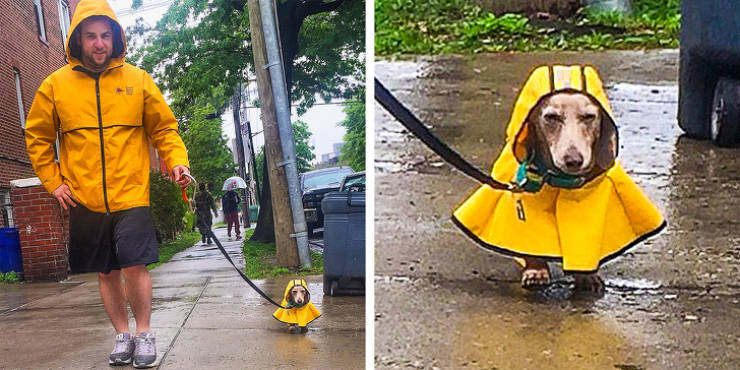 People Who Will Do Anything For Their Beloved Pets