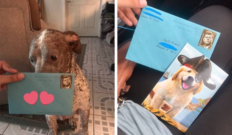 People Who Will Do Anything For Their Beloved Pets