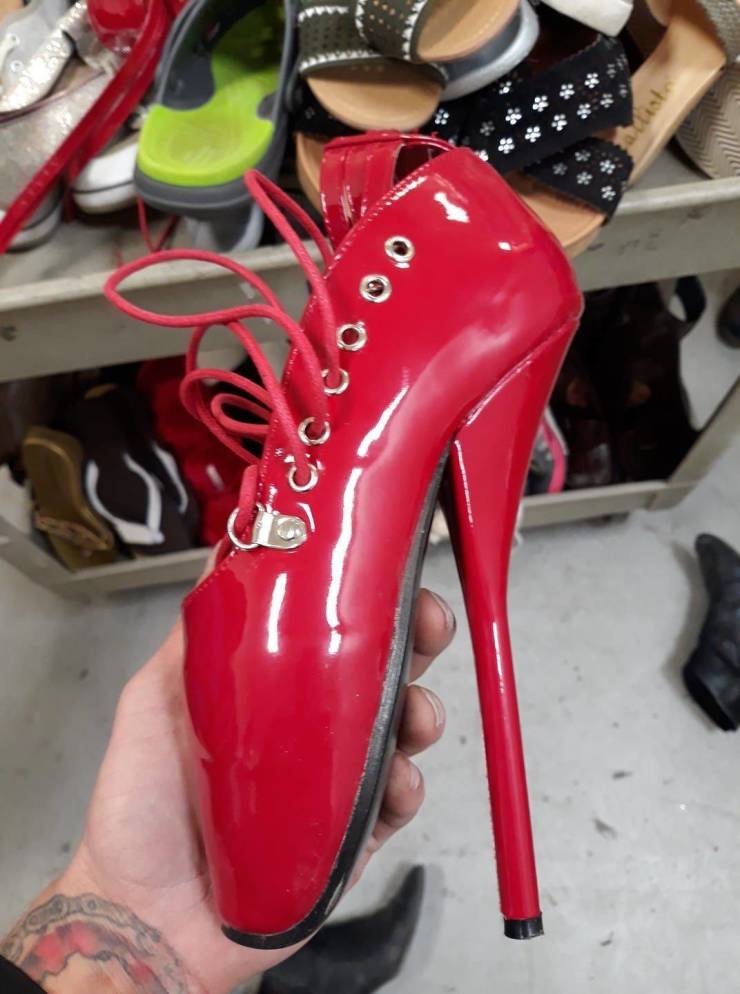 If You Can’t Find Something Weird, It’s Probably In The Thrift Shop