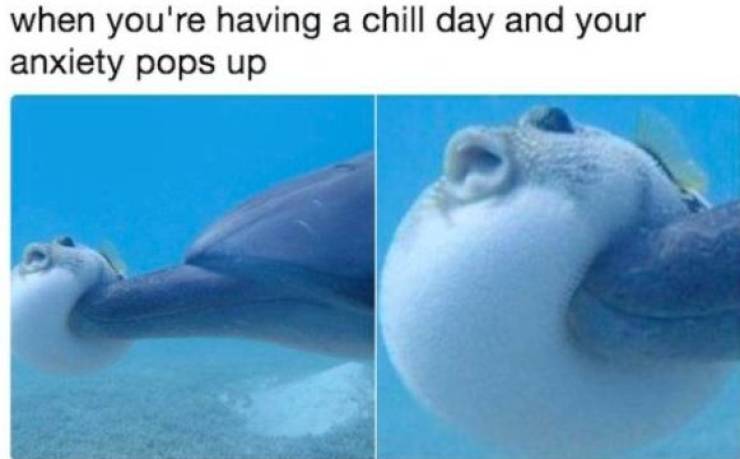 These Memes Will Protect You From Anxiety. At Least They Will Try