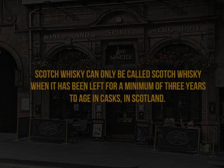 Do You Want Some Ice With Your Scotch Facts?