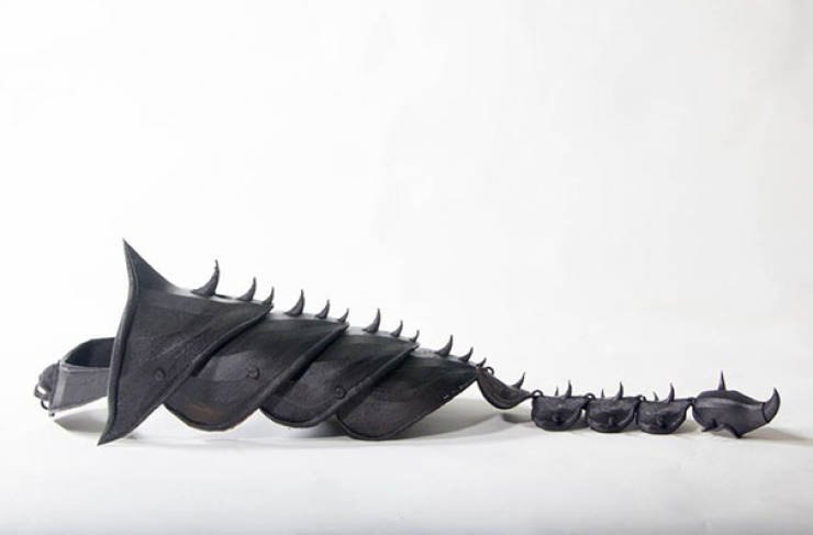 Guy Turns His Cat Into An Armored Battle Machine