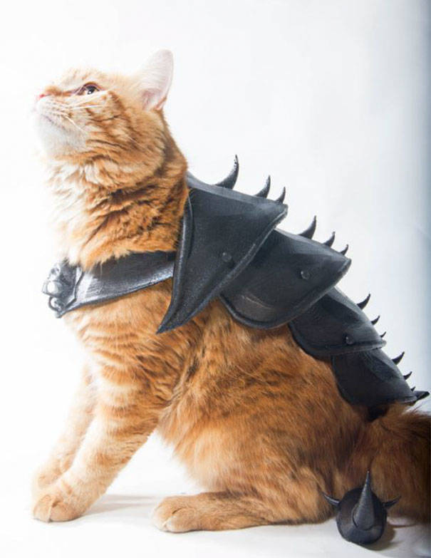 Guy Turns His Cat Into An Armored Battle Machine