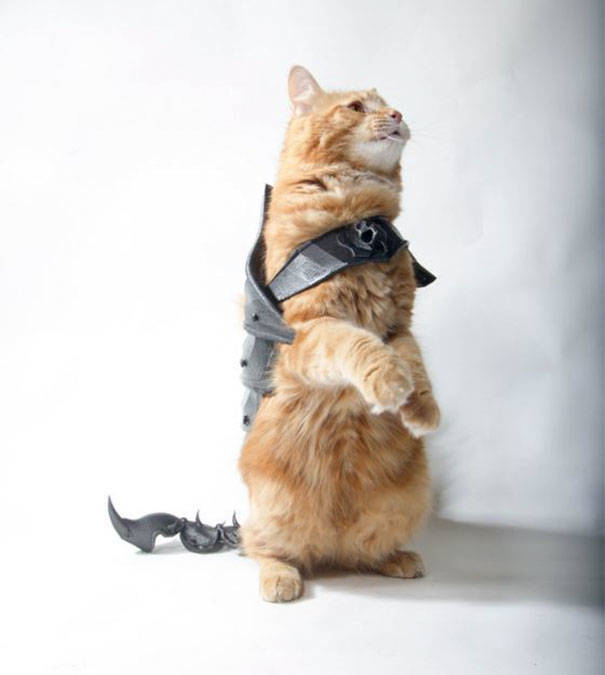Guy Turns His Cat Into An Armored Battle Machine