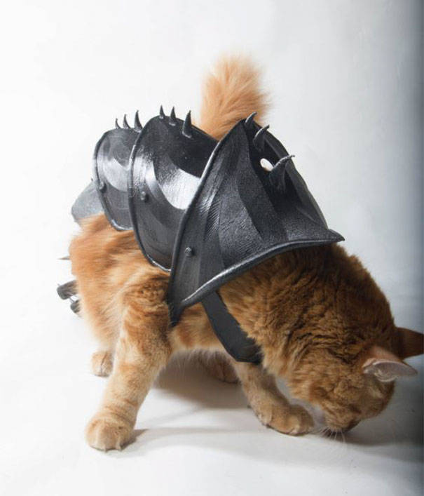 Guy Turns His Cat Into An Armored Battle Machine