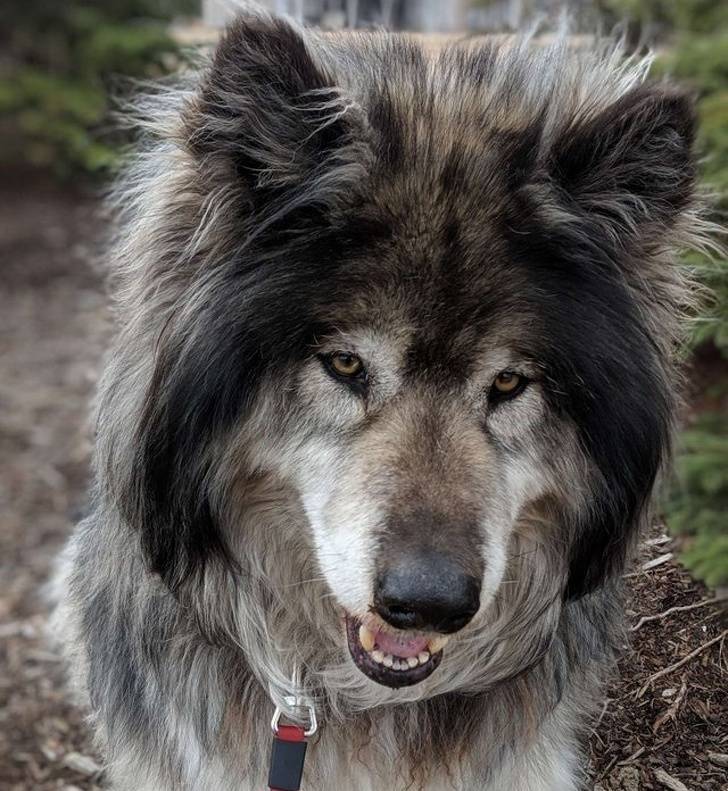 It’s Never Too Late To Quit A Job That Doesn’t Suit You