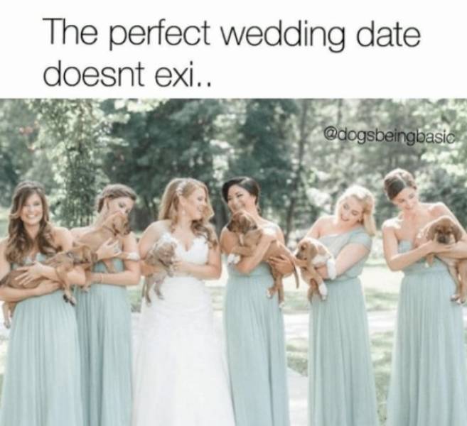 Wow, These Wedding Party Memes Are Exhausting