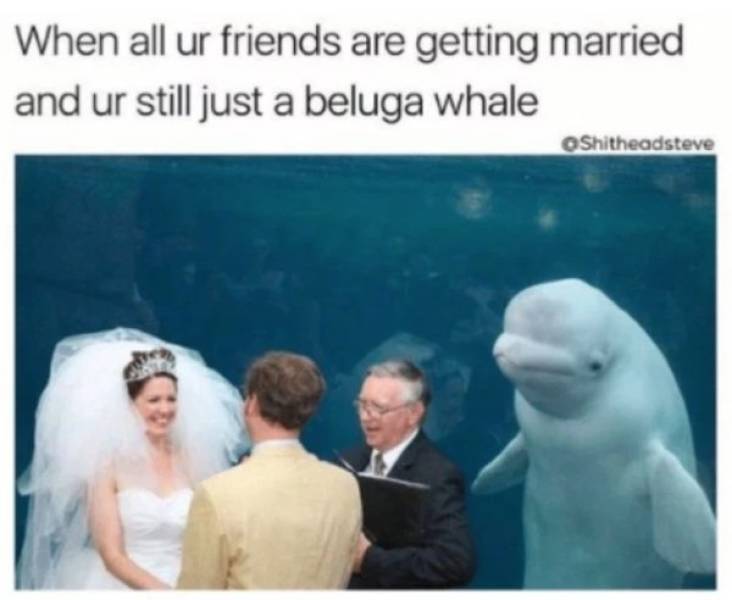 Wow, These Wedding Party Memes Are Exhausting