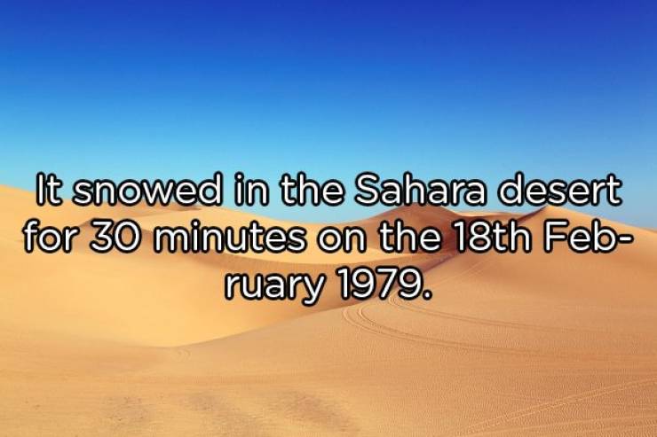 Random Facts Are Always Surprising