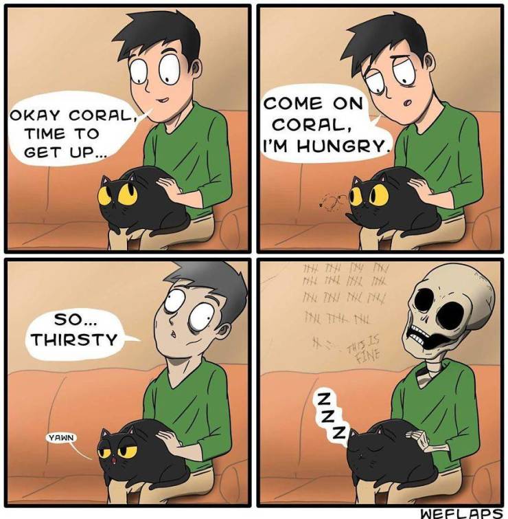 These Funny Comics Show The Dark Truth Of Living With A Cat