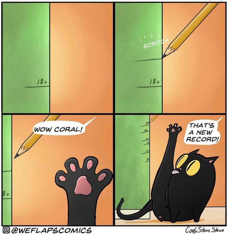 These Funny Comics Show The Dark Truth Of Living With A Cat