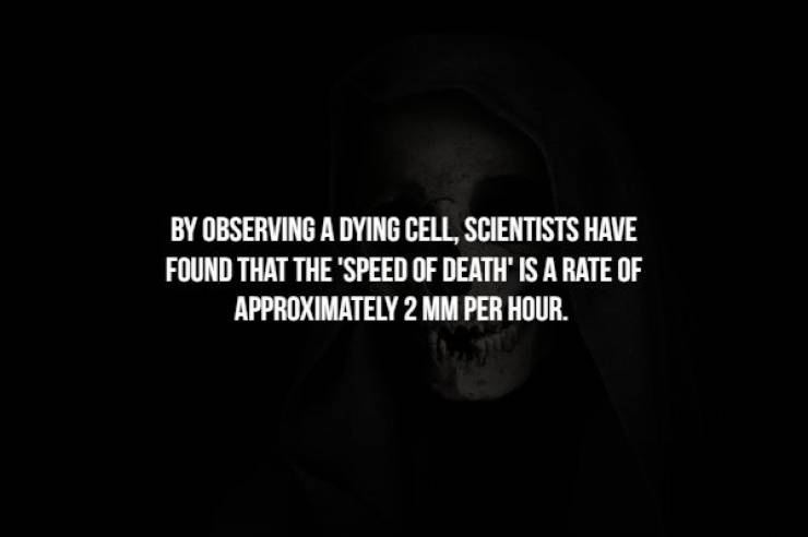Do You Feel The Chill Of These Creepy Facts?