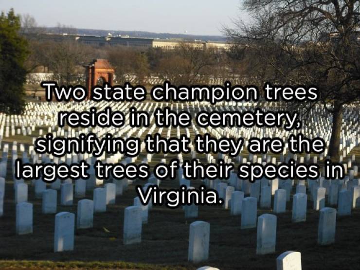 Some Interesting Things About Arlington Cemetery