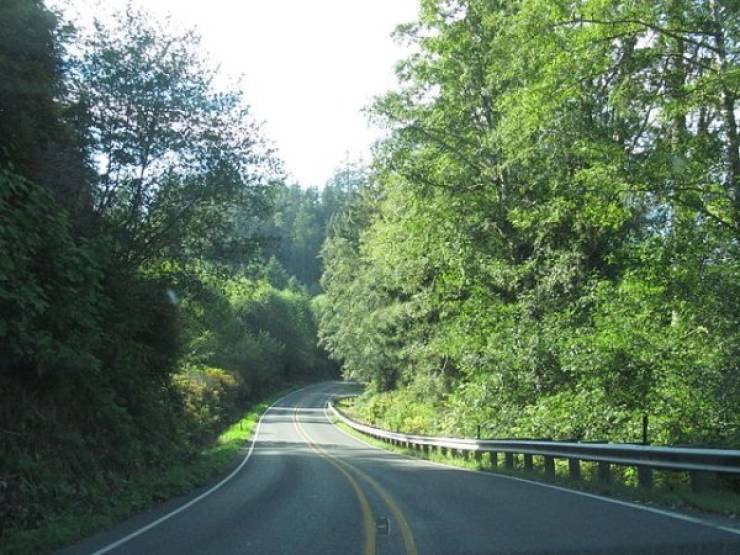 Top Ten US States People Leave, And Top Ten States People Move Into (20