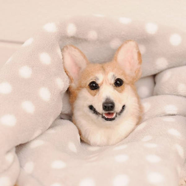 Japanese Artist Creates Incredibly Realistic Animals From Felt Wool