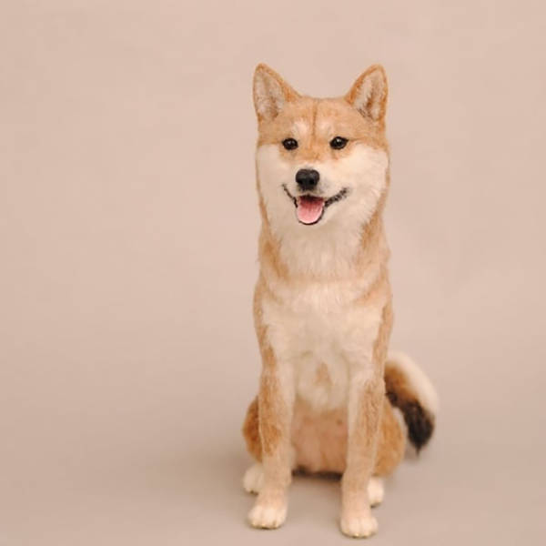 Japanese Artist Creates Incredibly Realistic Animals From Felt Wool