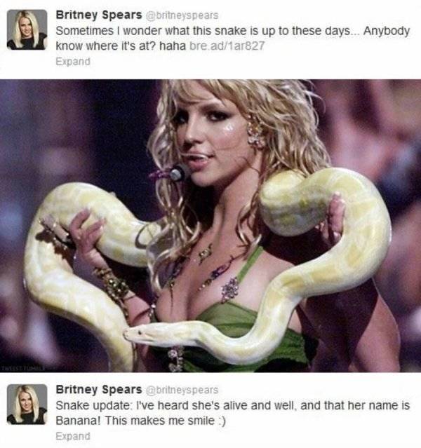 Not All Snakes Are Scary