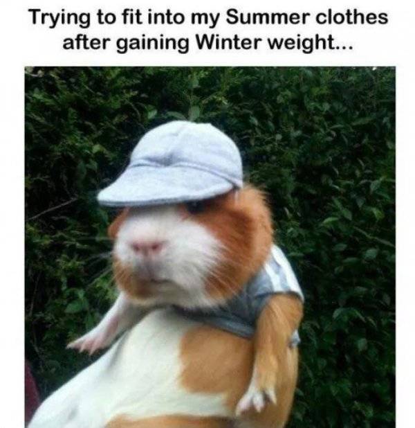 Are You Fit Enough For Summer Memes?