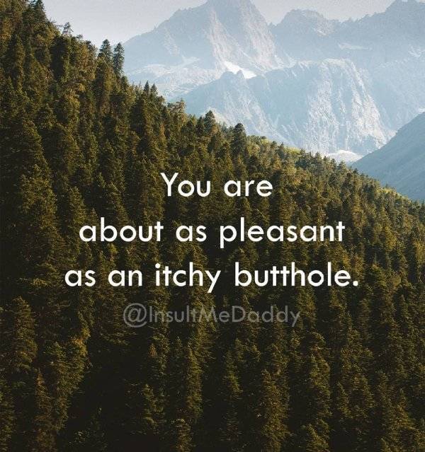 Perfect Insults For Any Day Of The Week