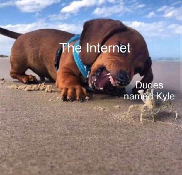 For Every Karen There Is Also A Kyle