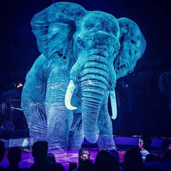 German Circus Takes A Stance Against Cruelty, And You Won’t Find Animals There Anymore