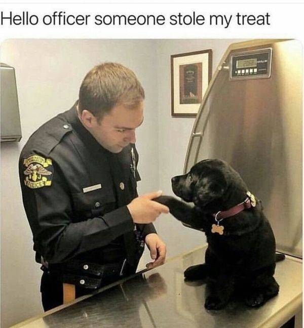 Police Just Wanna Have Fun!