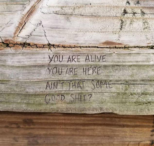 Positivity And Motivation Can Find You Out Of Nowhere