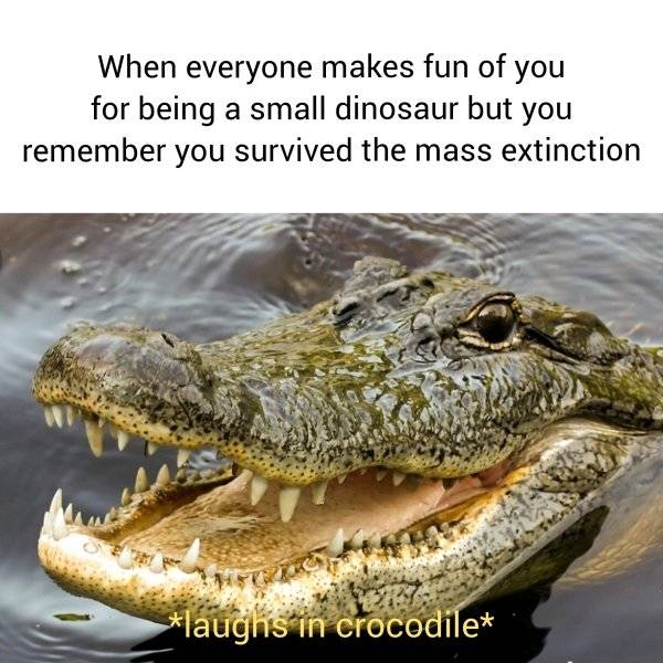 These Prehistoric Memes Are Way Too Ancient