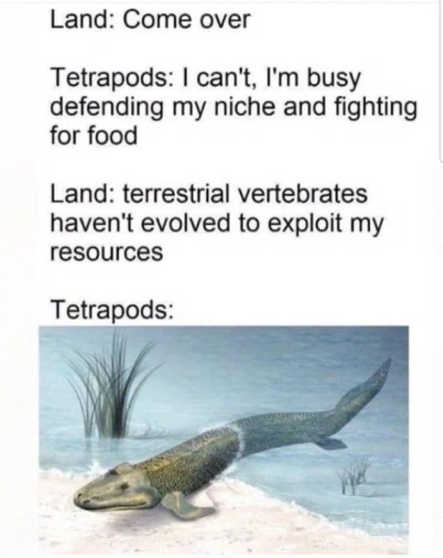 These Prehistoric Memes Are Way Too Ancient