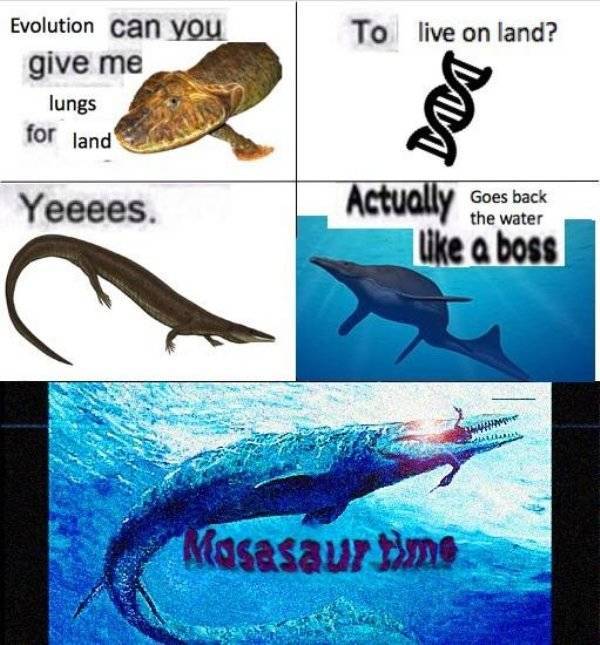 These Prehistoric Memes Are Way Too Ancient