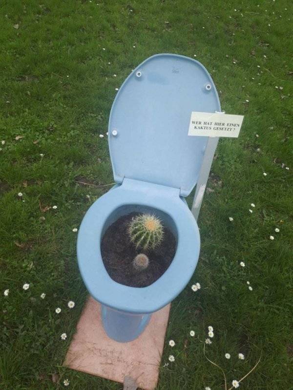 This Is Not Just Some Creativity. This Is Outstanding Creativity!