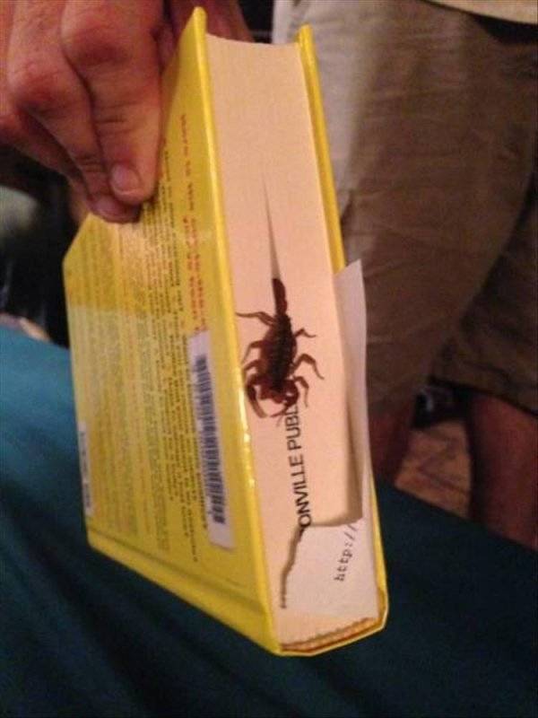 This Is Not Just Some Creativity. This Is Outstanding Creativity!