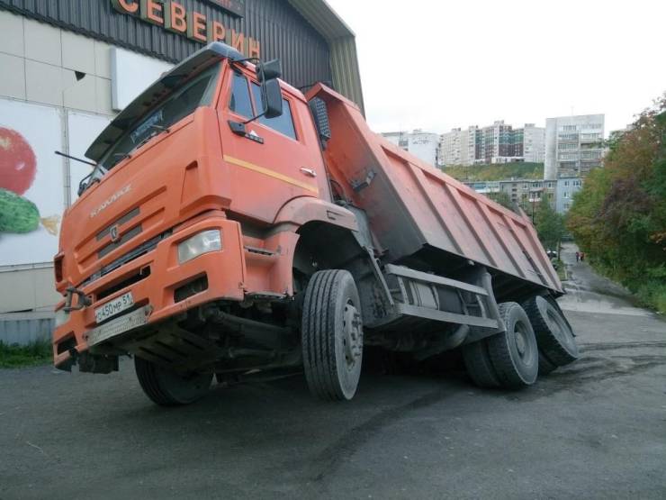 Daily Picdump