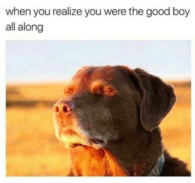 It’s High Time For Woofmemes!
