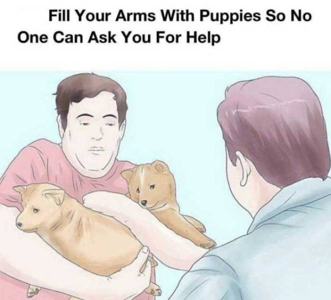 It’s High Time For Woofmemes!