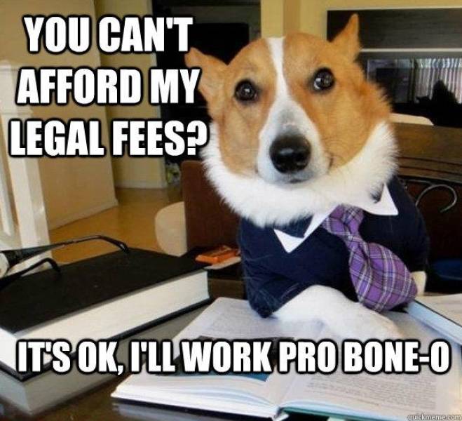It’s High Time For Woofmemes!