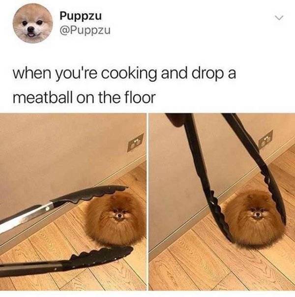 It’s High Time For Woofmemes!