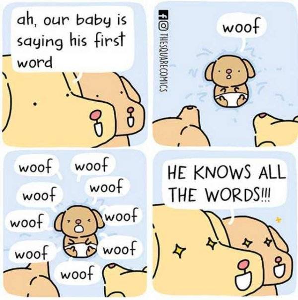 It’s High Time For Woofmemes!