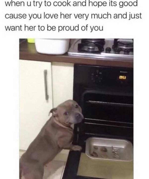 It’s High Time For Woofmemes!