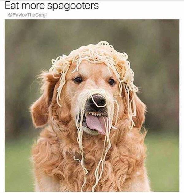 It’s High Time For Woofmemes!