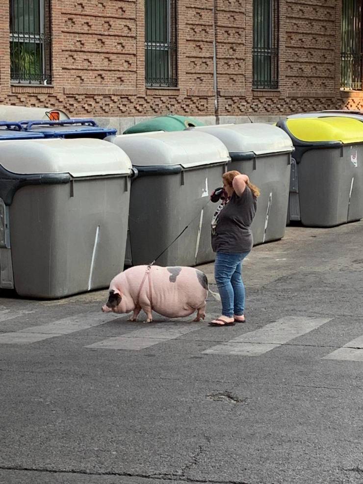 Morning Picdump