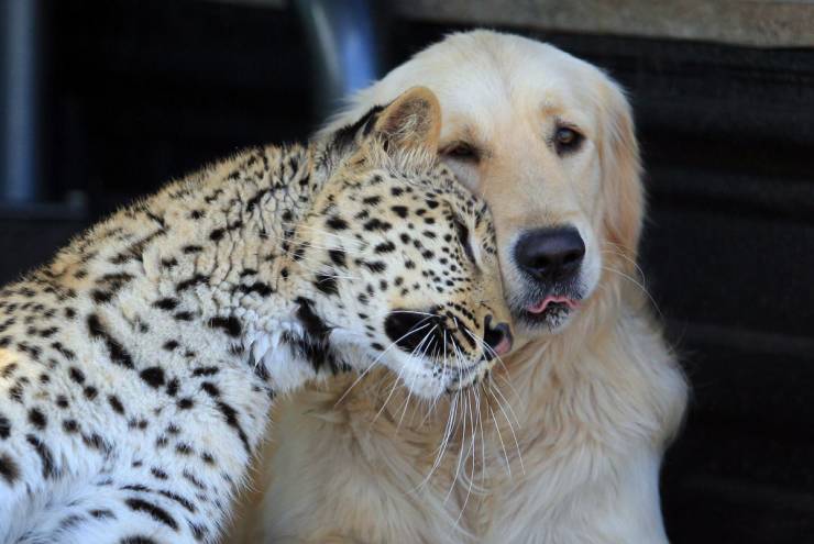Fine Examples When A Picture Says More Than Just A Thousand Words