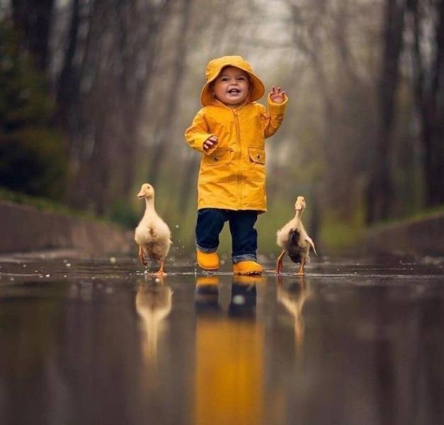 Fine Examples When A Picture Says More Than Just A Thousand Words