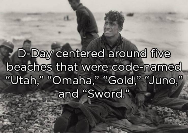 Some Large-Scale Facts About The D-Day 75 Years Later