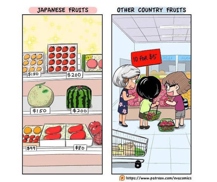 Guy Draws Comics To Show How Culturally Different Japan Is From Other Countries