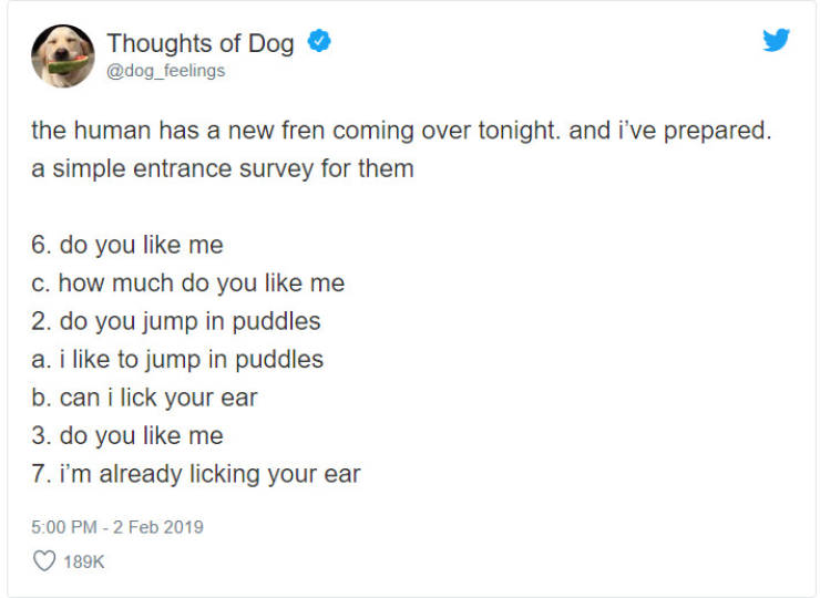 What If We Could Read What Dogs Think