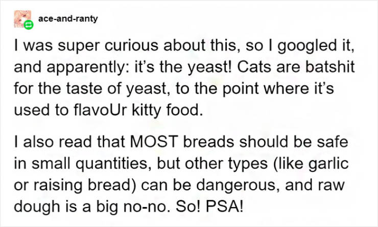 Cats Are Born To Hunt… Bread