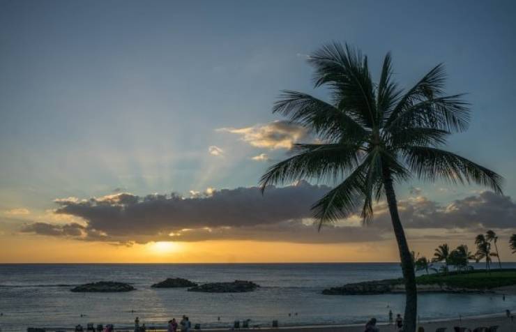 Chill With These Hawaii Facts