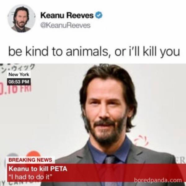 Keanu Reeves Is A Never-Ending Source Of Lovable Memes